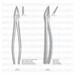 Extracting Forceps English Pattern