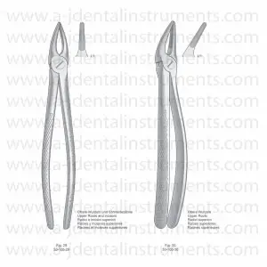 Extracting Forceps English Pattern