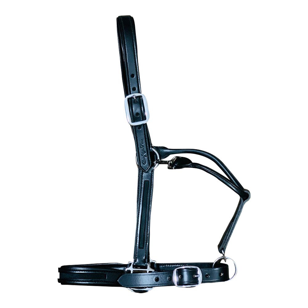 Horse Halter