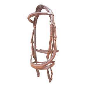 Horse Bridle