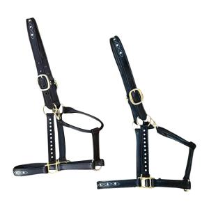 Horse Halters