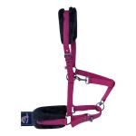 Nylon Halters