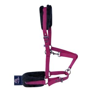 Nylon Halters